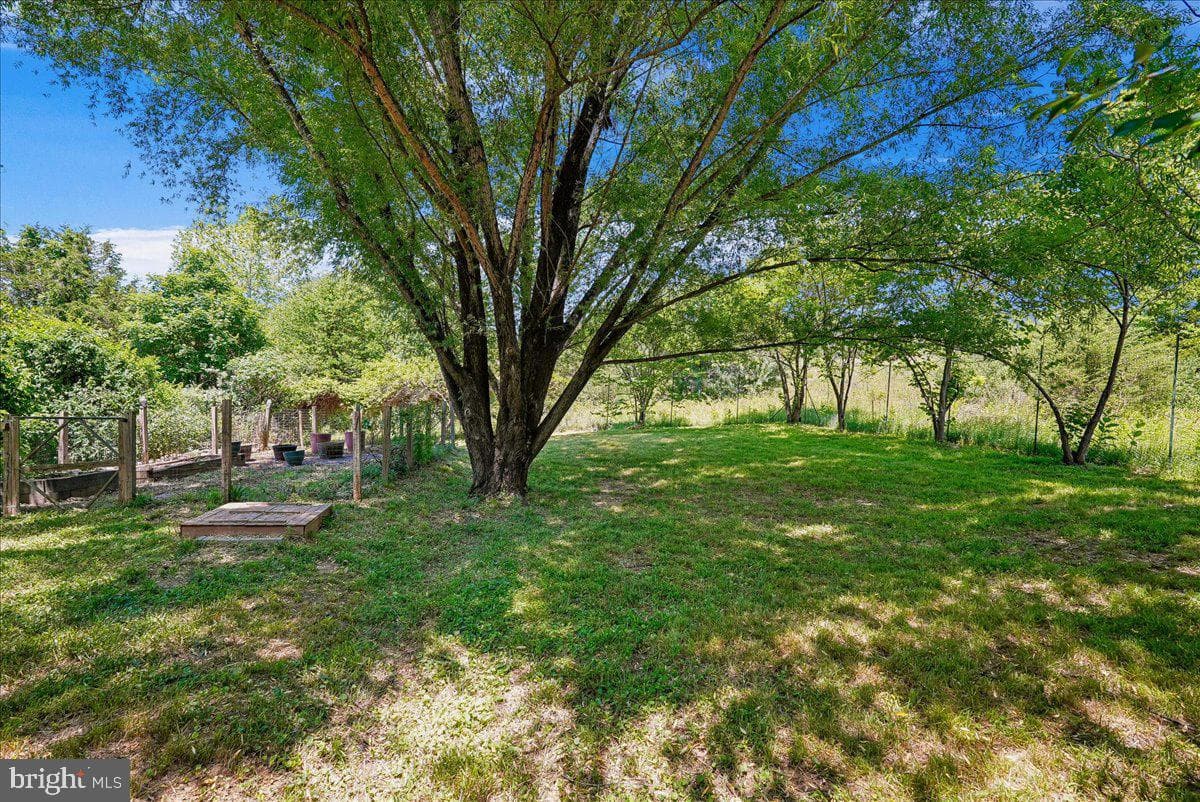 41065 Hickory Shade Lane photo 65