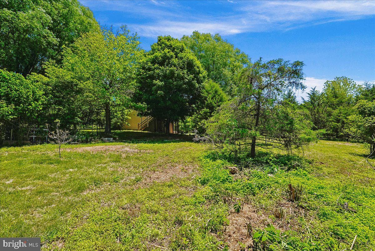 41065 Hickory Shade Lane photo 66