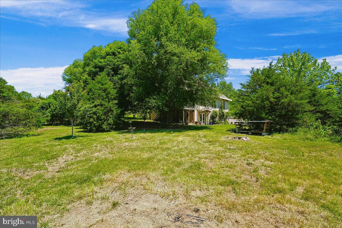 41065 Hickory Shade Lane photo 67