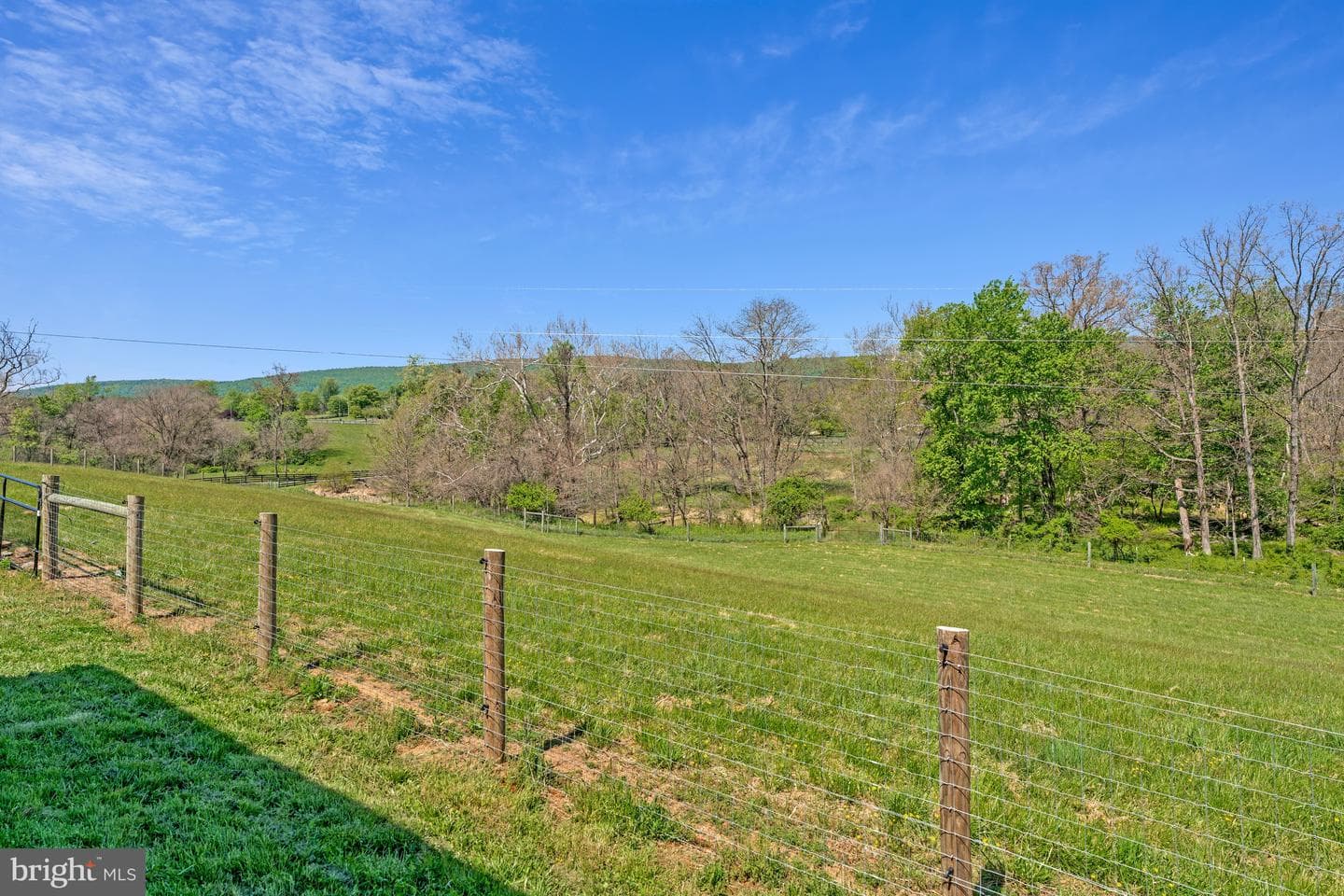 36333 Stony Point Road photo 29