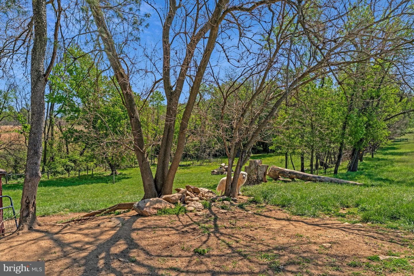 36333 Stony Point Road photo 31