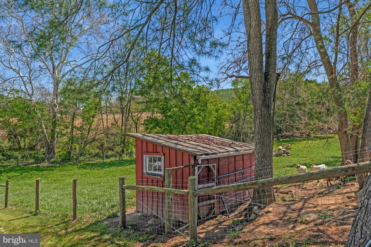 36333 Stony Point Road photo 33