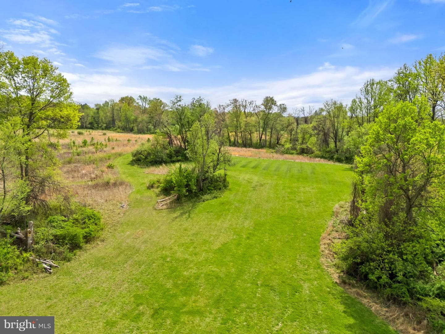 23084 Affirmed Park Court photo 63