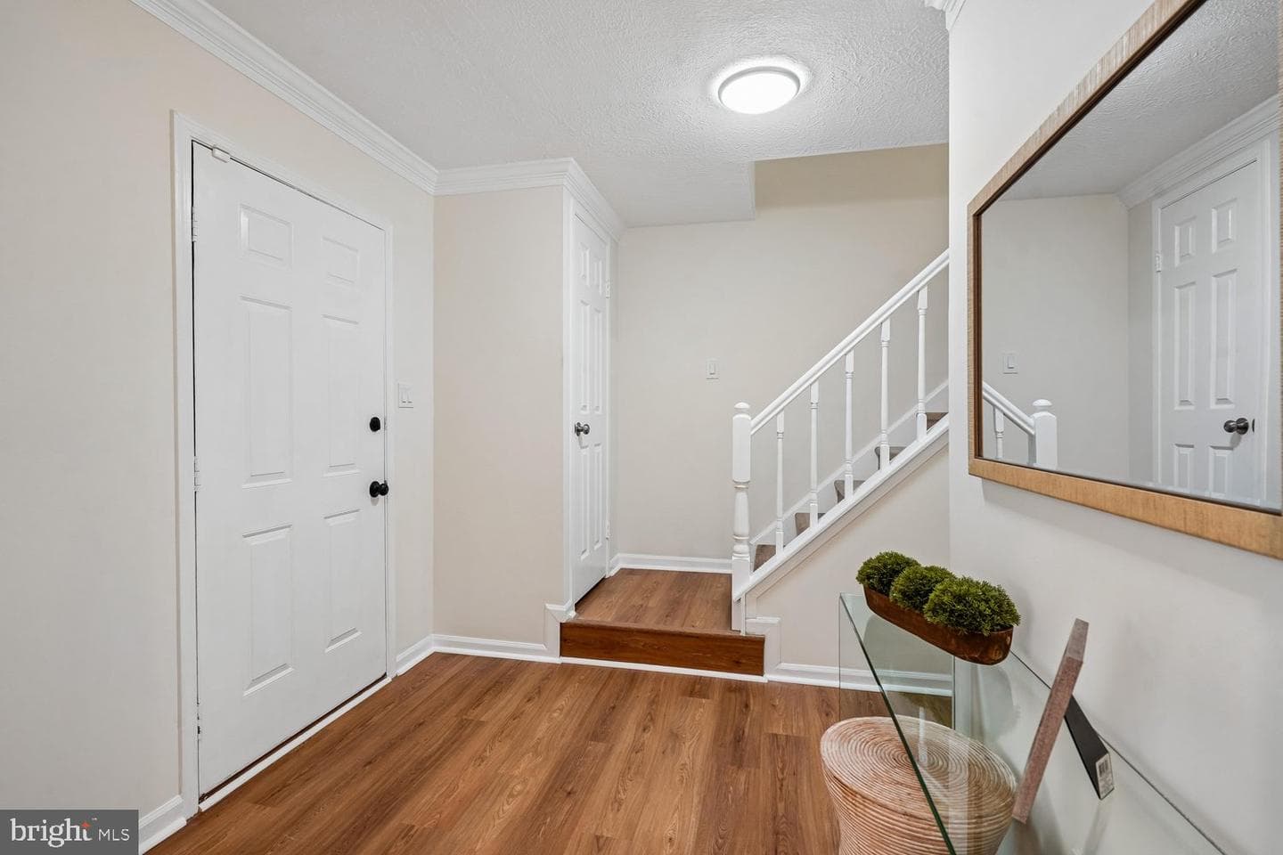 113 Sue Ann Court photo 19