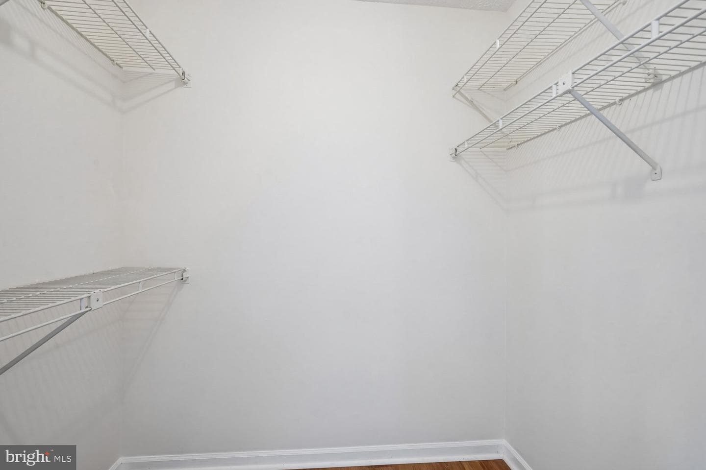 113 Sue Ann Court photo 36