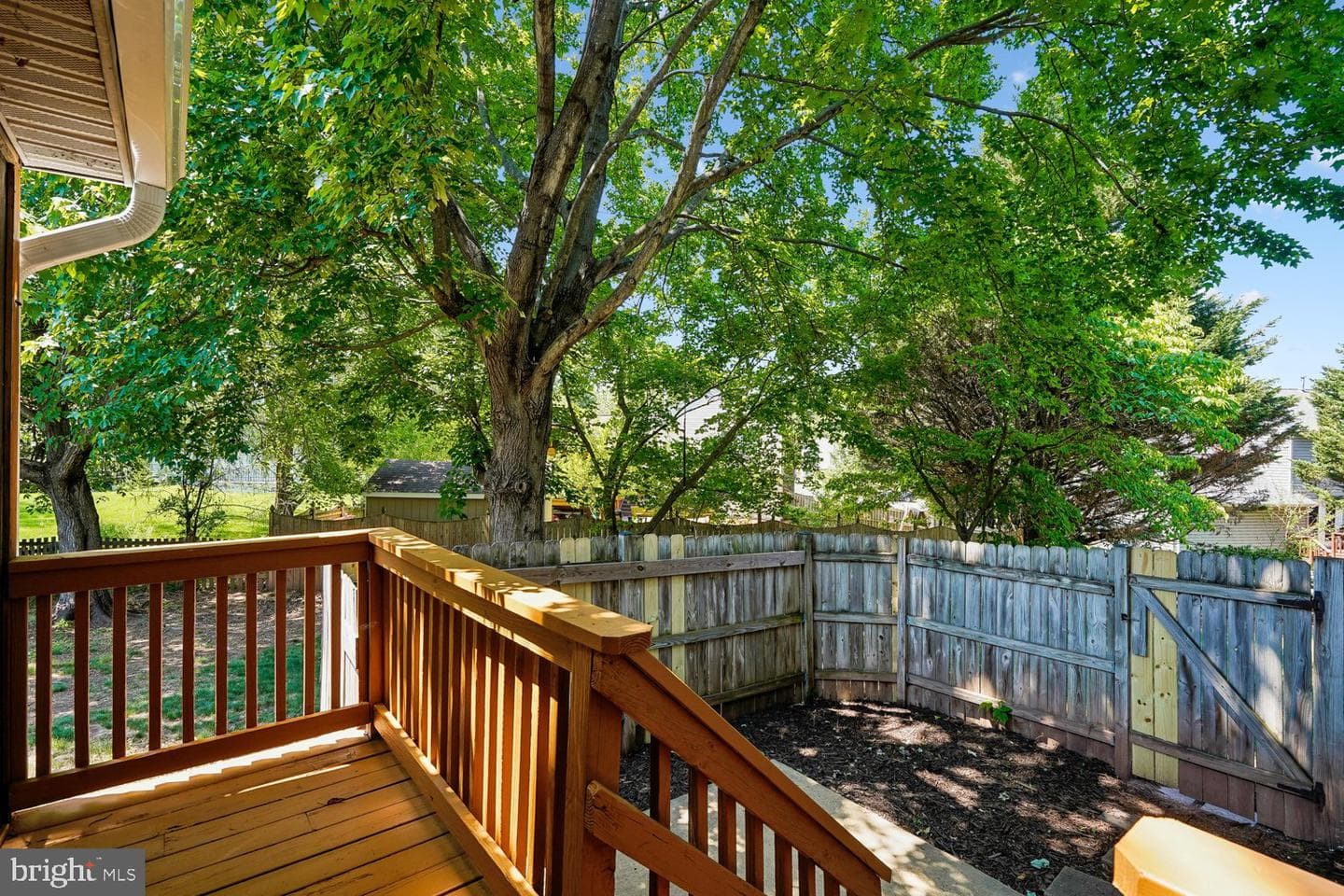 113 Sue Ann Court photo 51