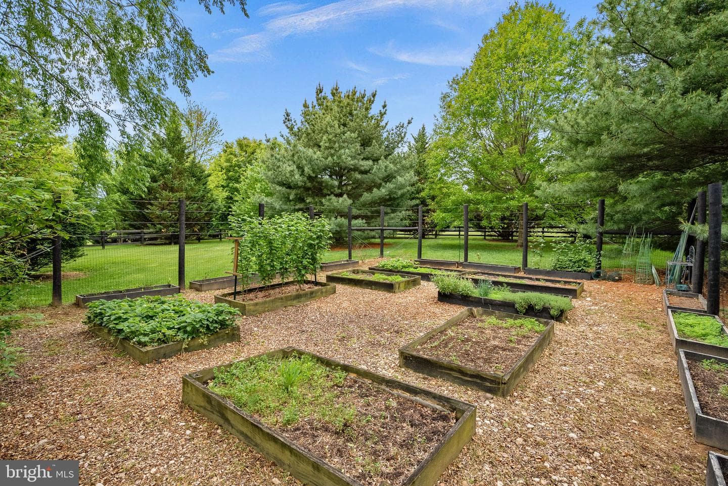 17219 Westfield Place photo 86