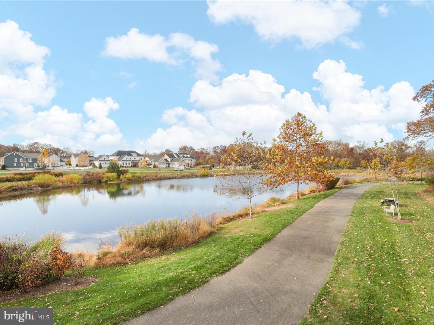 25970 Liquidambar Lane photo 79