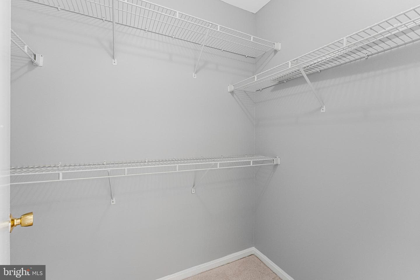 21676 Calamary Circle photo 20