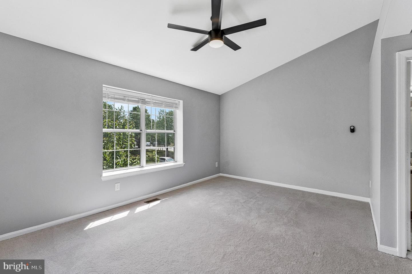21676 Calamary Circle photo 28