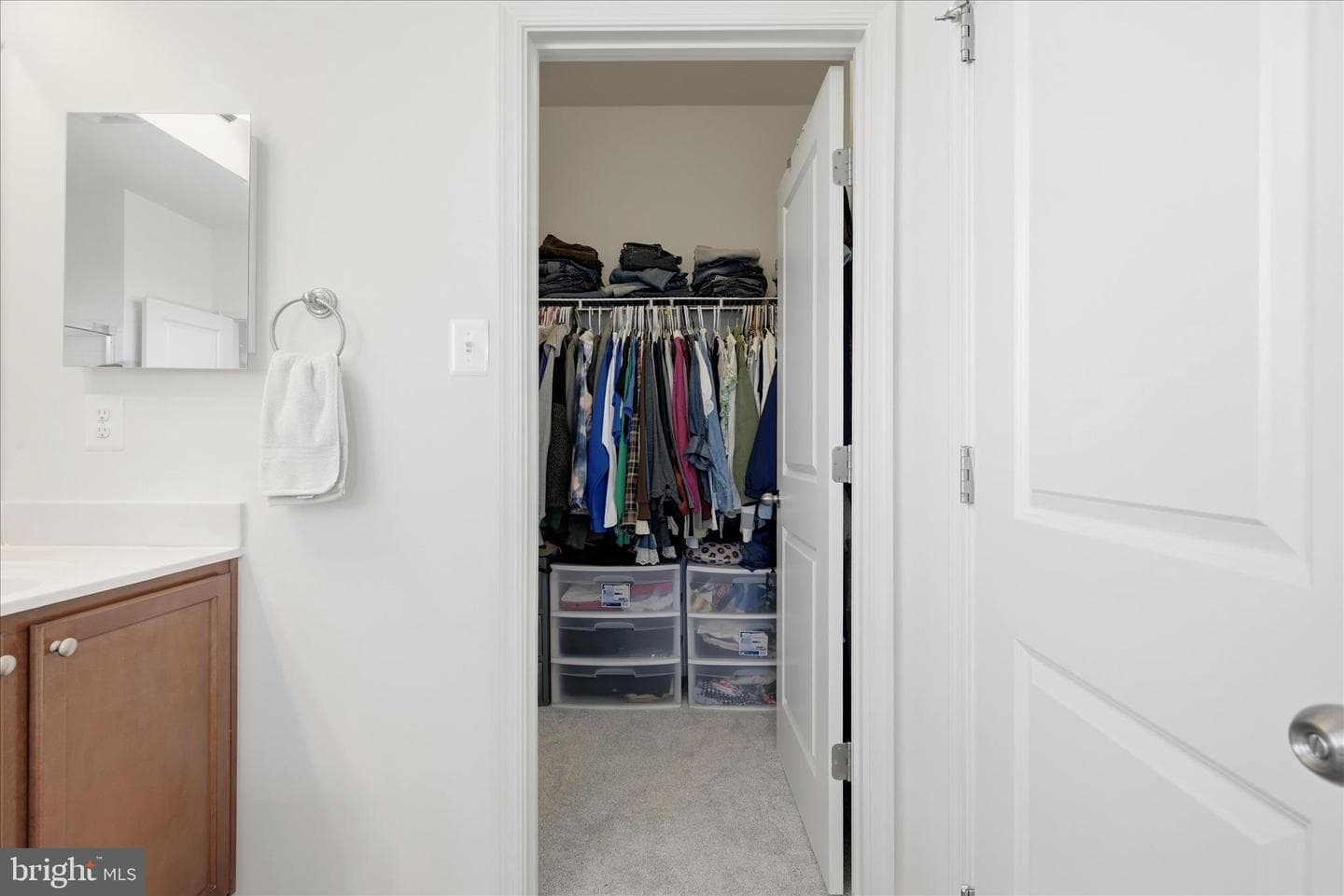 12104 Sunflower Field Place photo 35