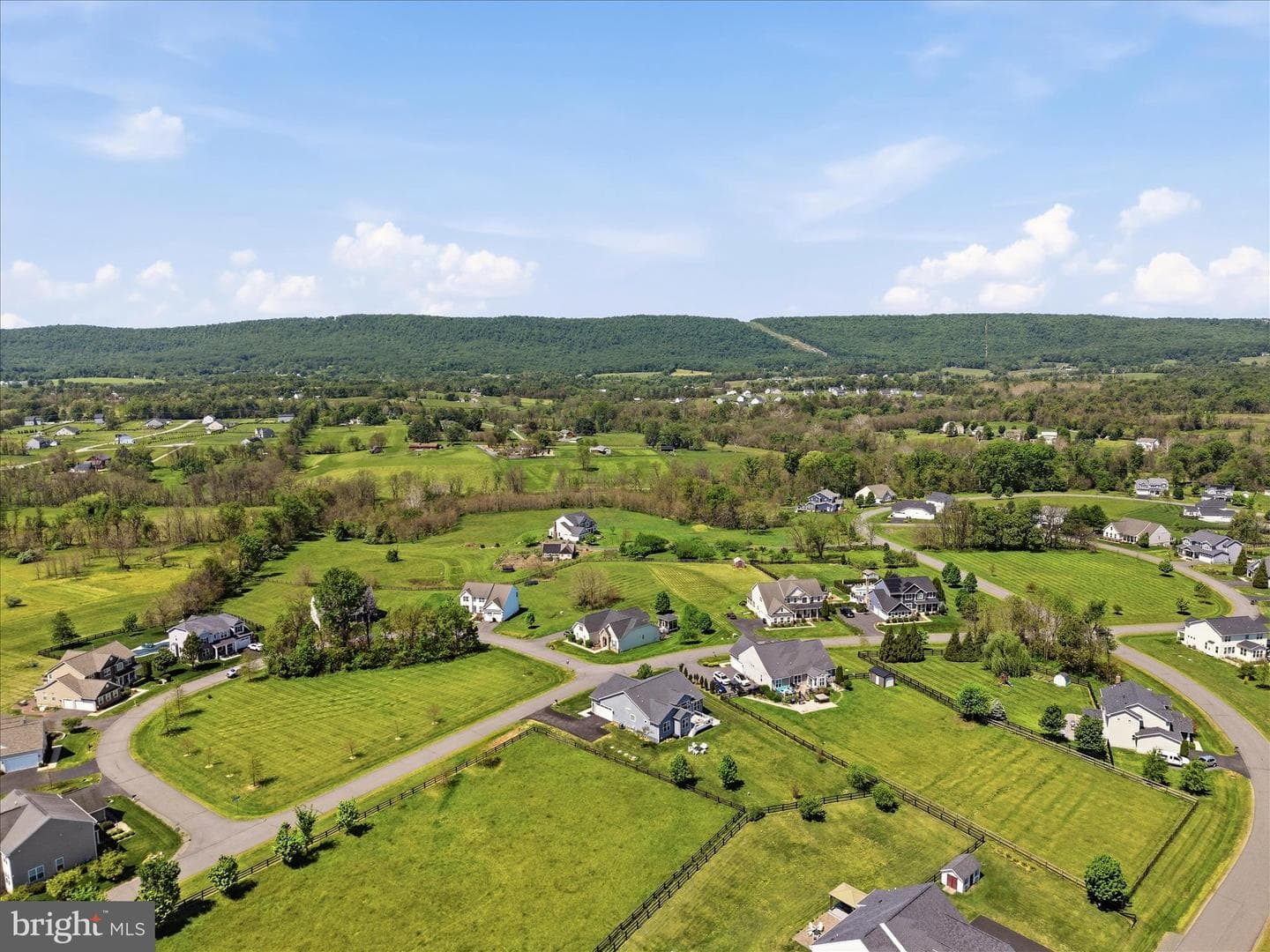 12104 Sunflower Field Place photo 65