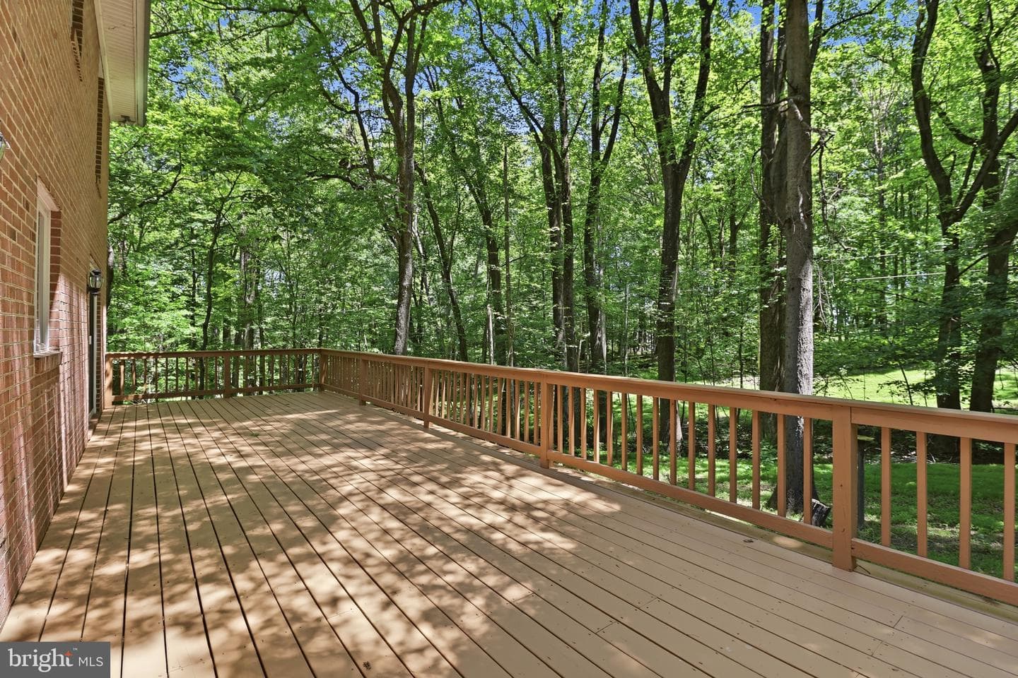 14424 Dove Ln photo 18