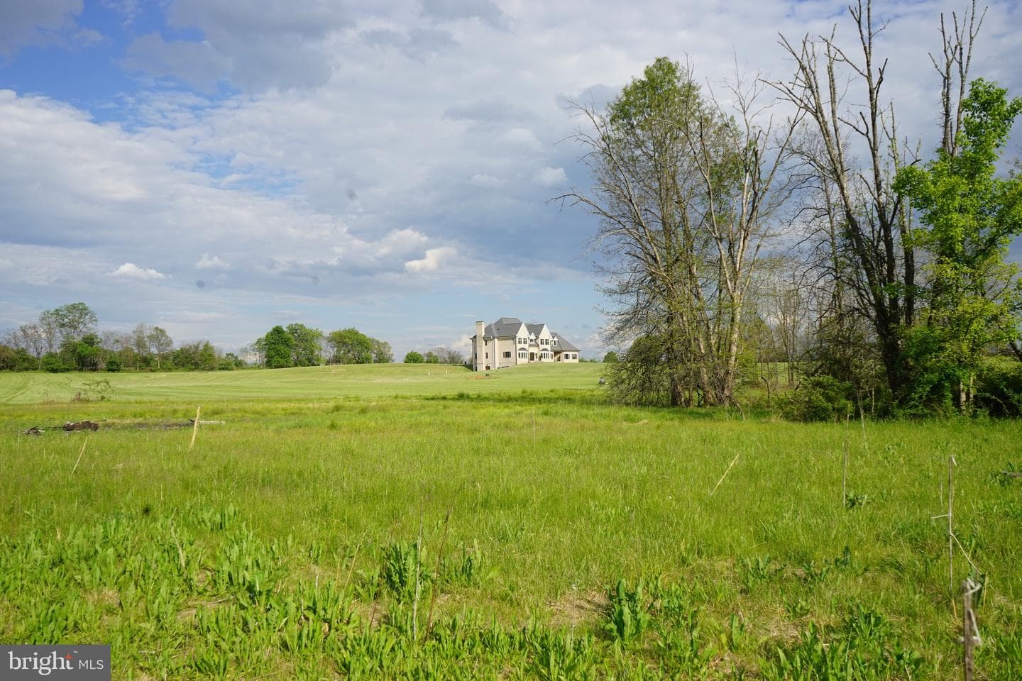 15028 Merritt Farm Lane photo 53