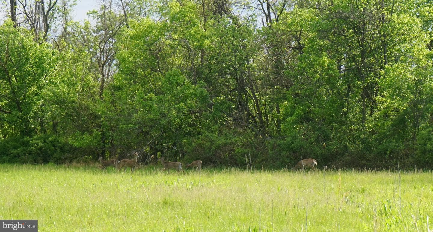 15028 Merritt Farm Lane photo 55