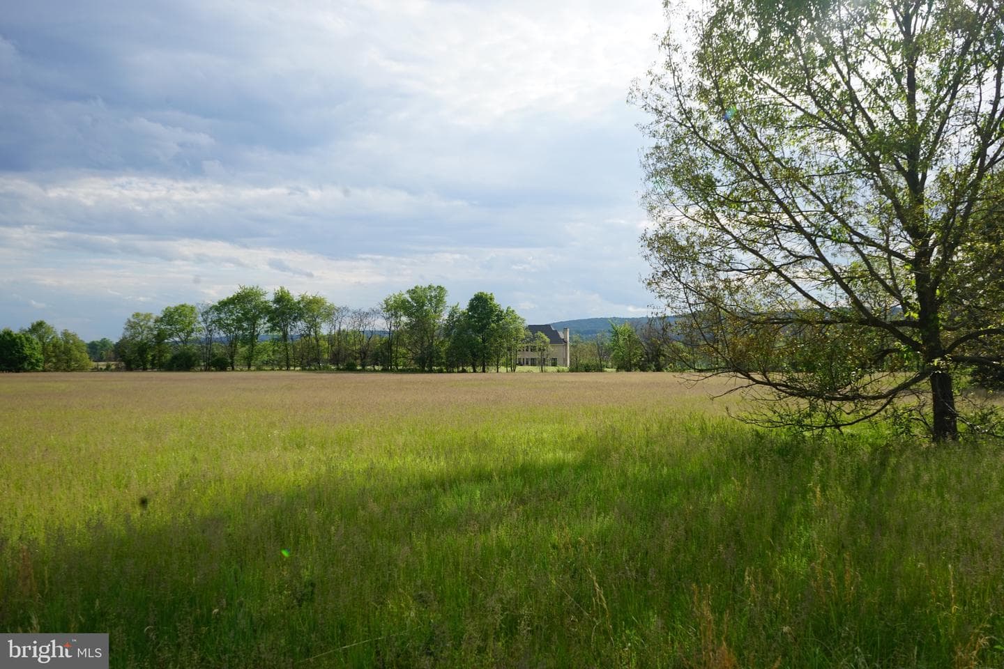 15028 Merritt Farm Lane photo 59