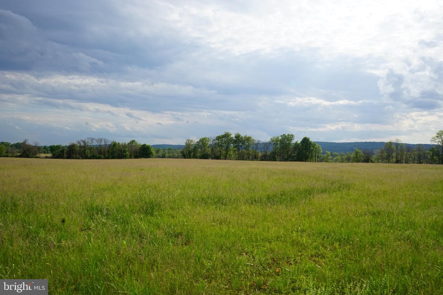 15028 Merritt Farm Lane photo 60