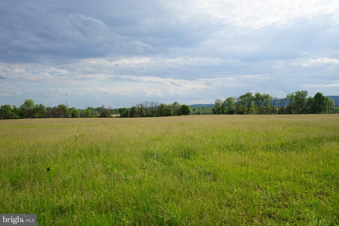 15028 Merritt Farm Lane photo 61