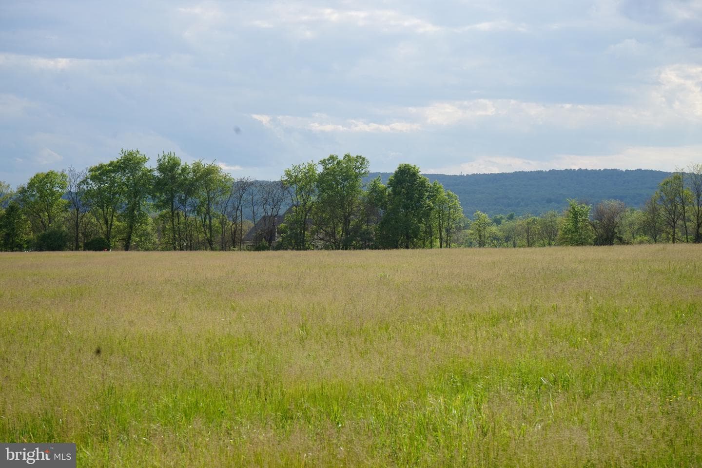 15028 Merritt Farm Lane photo 62
