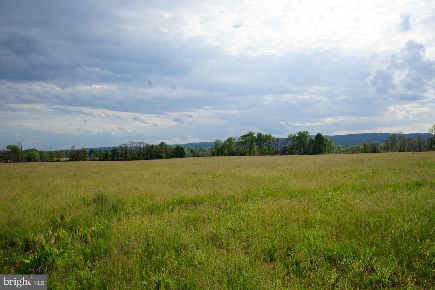 15028 Merritt Farm Lane photo 63