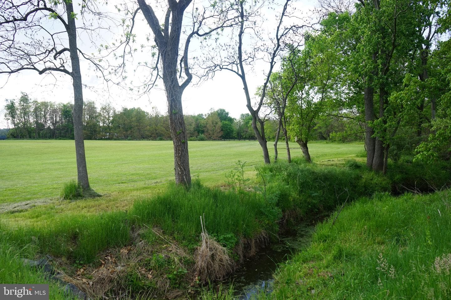15028 Merritt Farm Lane photo 68