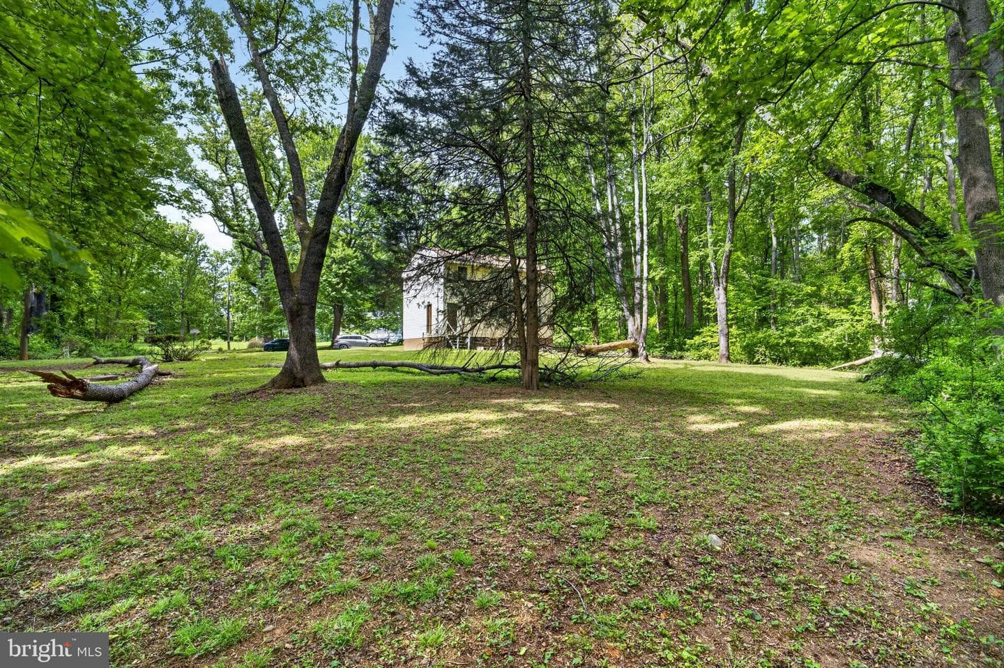 39600 Bluegrass Lane photo 14