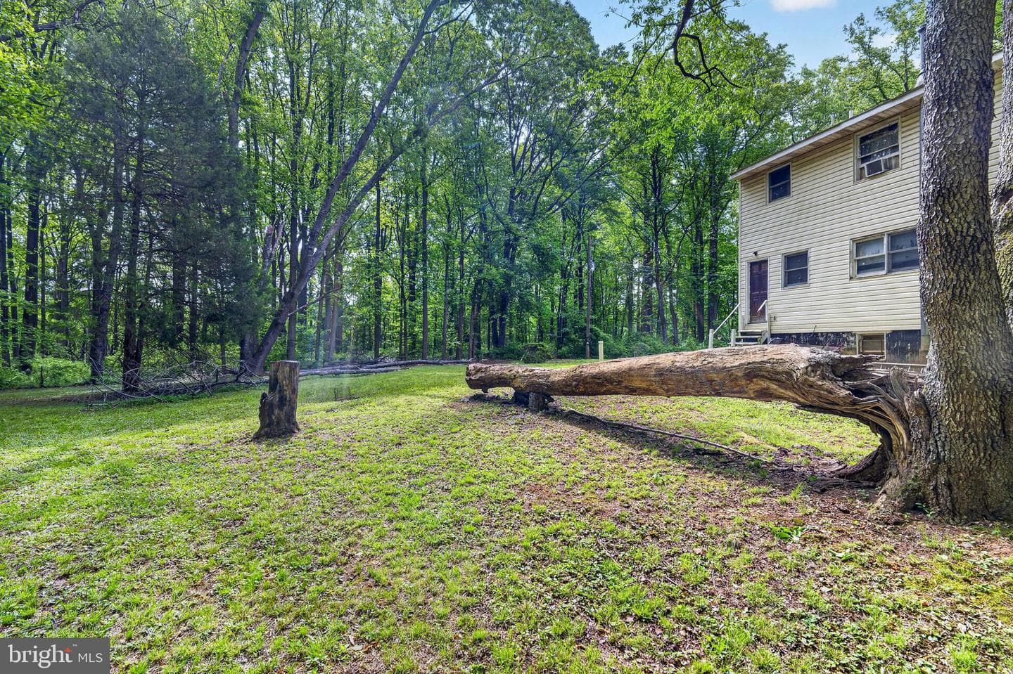 39600 Bluegrass Lane photo 15