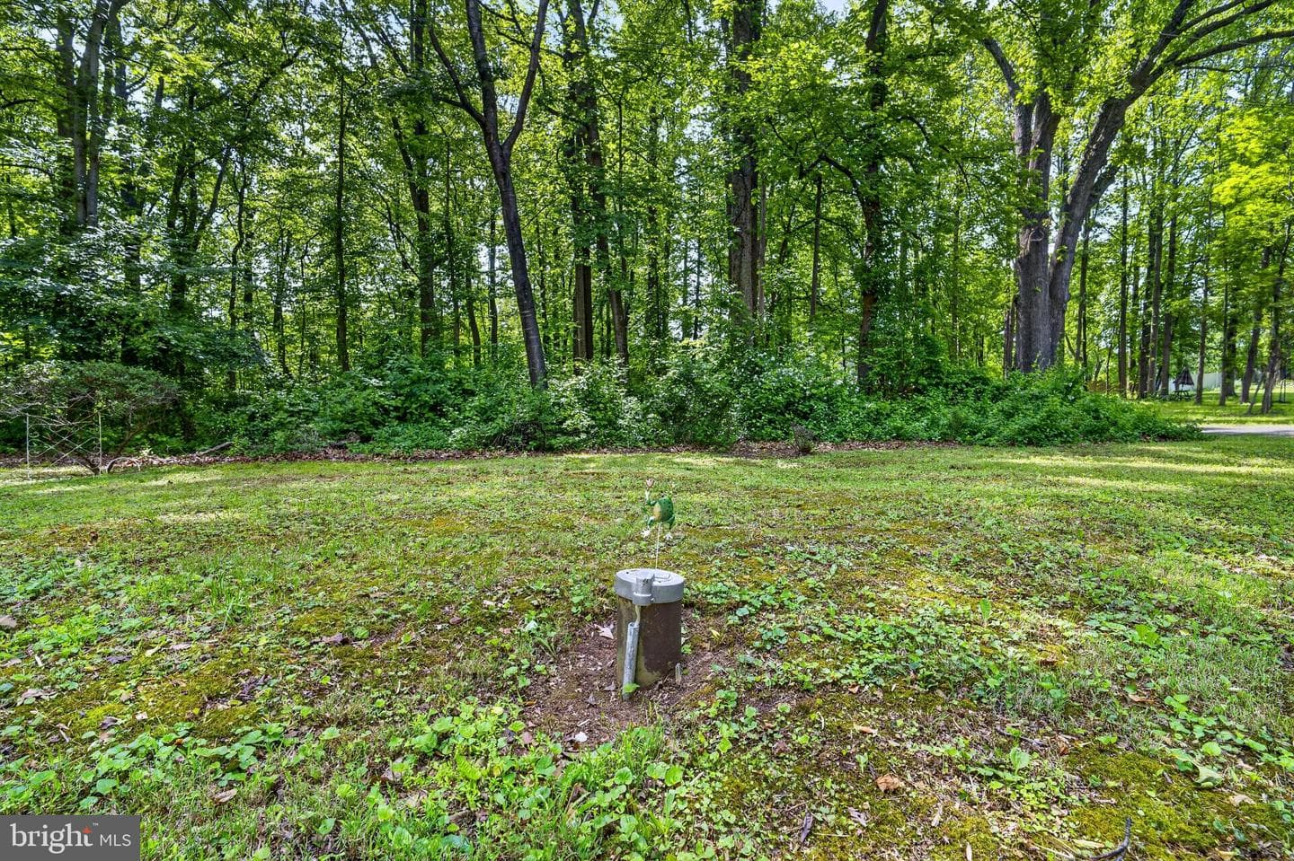 39600 Bluegrass Lane photo 3