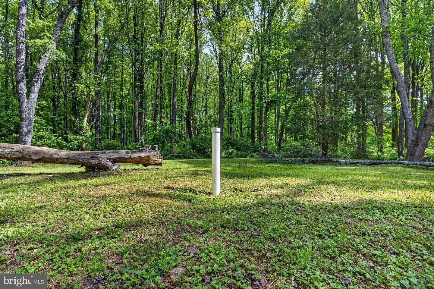 39600 Bluegrass Lane photo 4