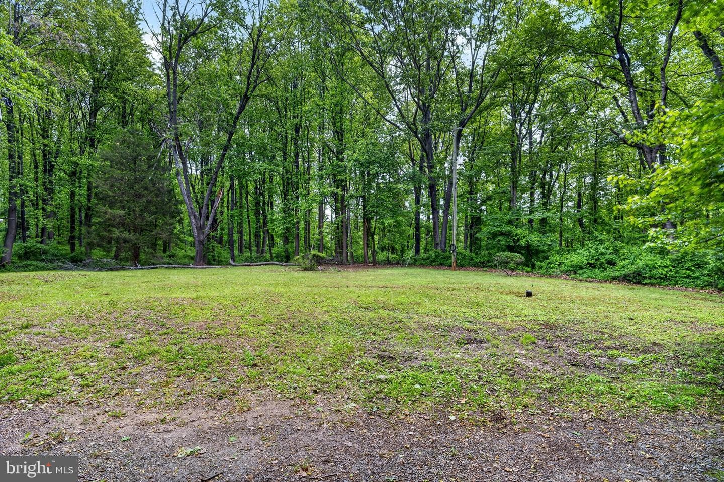 39600 Bluegrass Lane photo 5