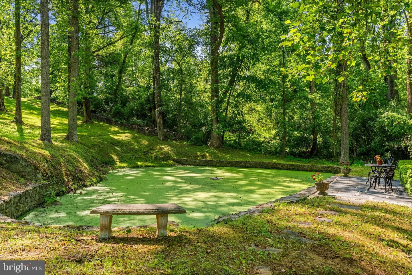 22065 Whitetail Ridge Lane photo 43