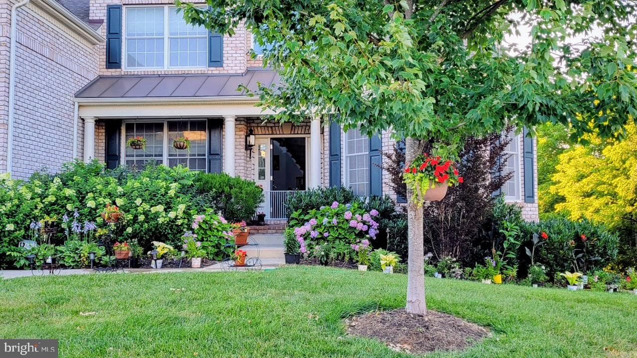 43341 Barnstead Drive photo 3