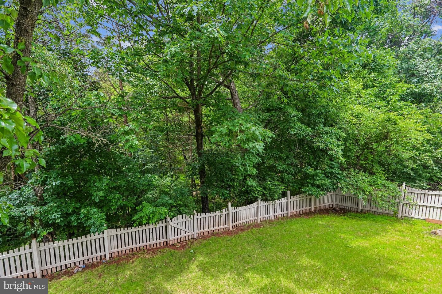 21745 Regents Park Circle photo 16
