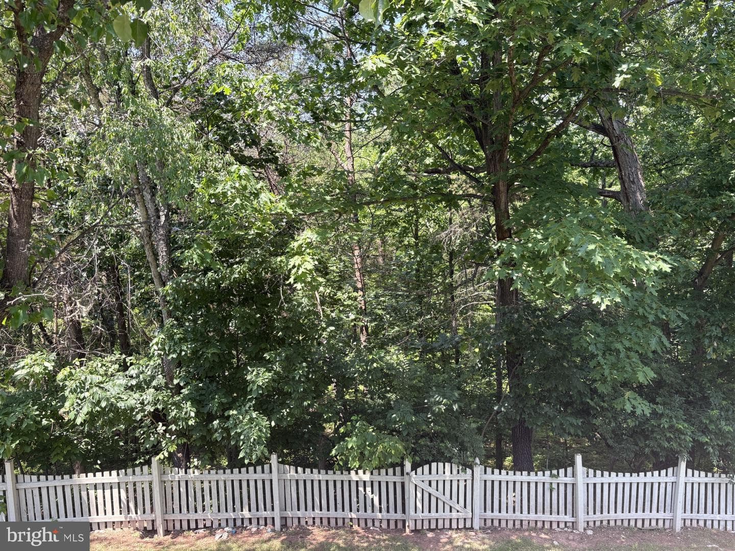21745 Regents Park Circle photo 18