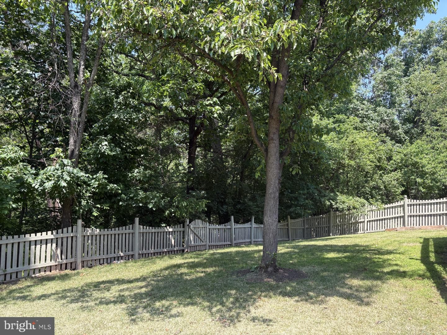 21745 Regents Park Circle photo 20
