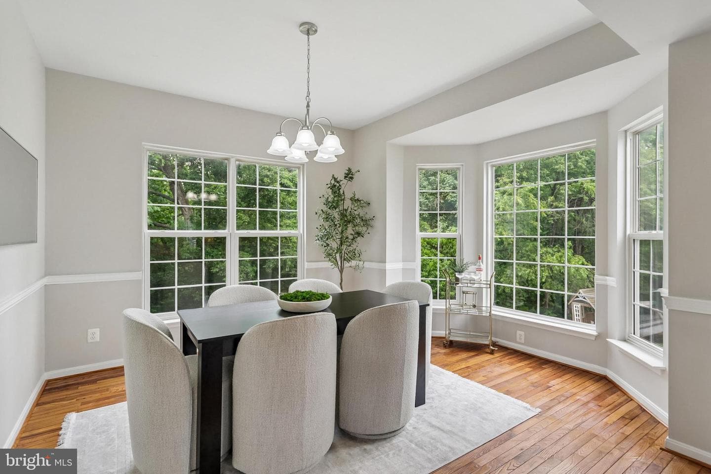 21745 Regents Park Circle photo 35