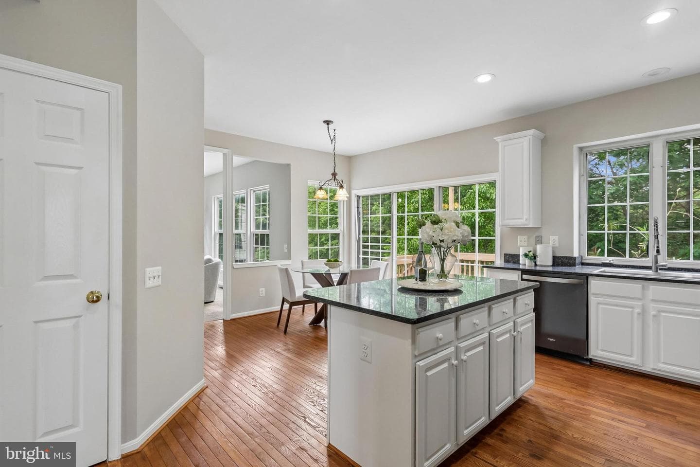 21745 Regents Park Circle photo 37