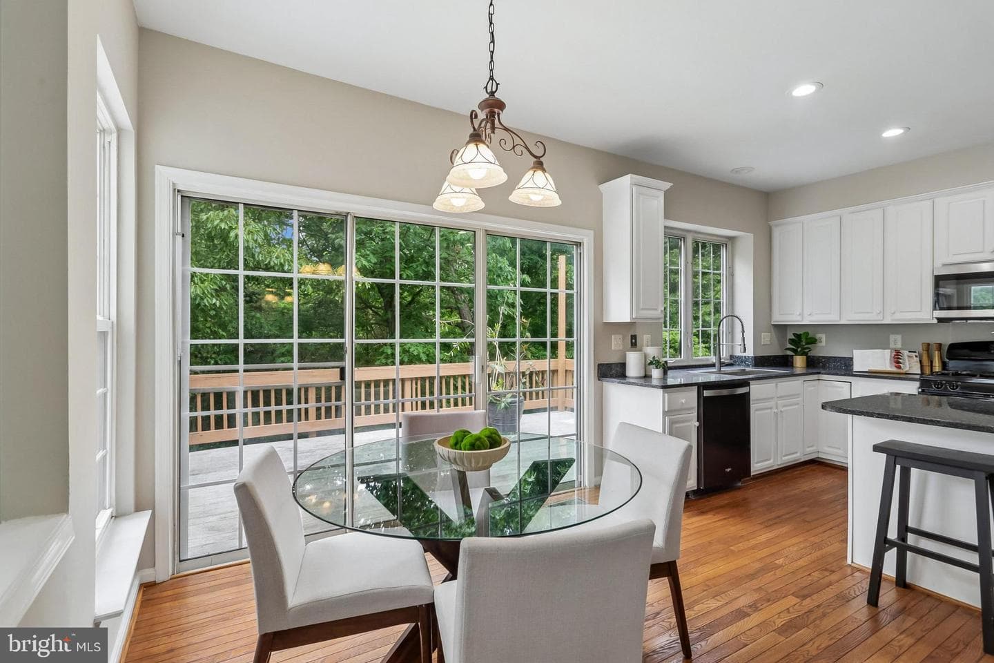21745 Regents Park Circle photo 43