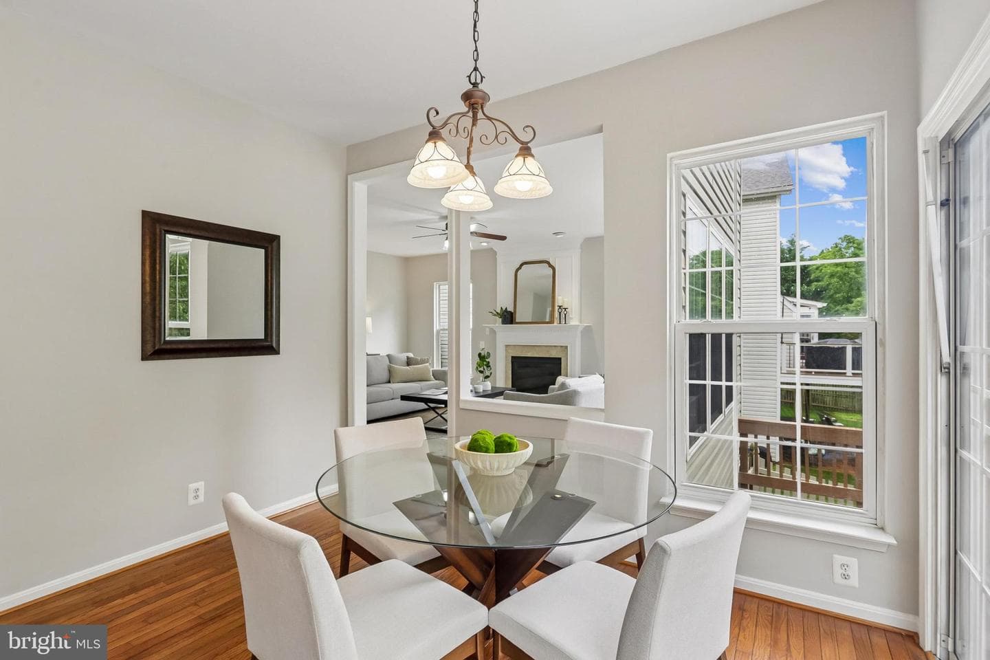 21745 Regents Park Circle photo 45