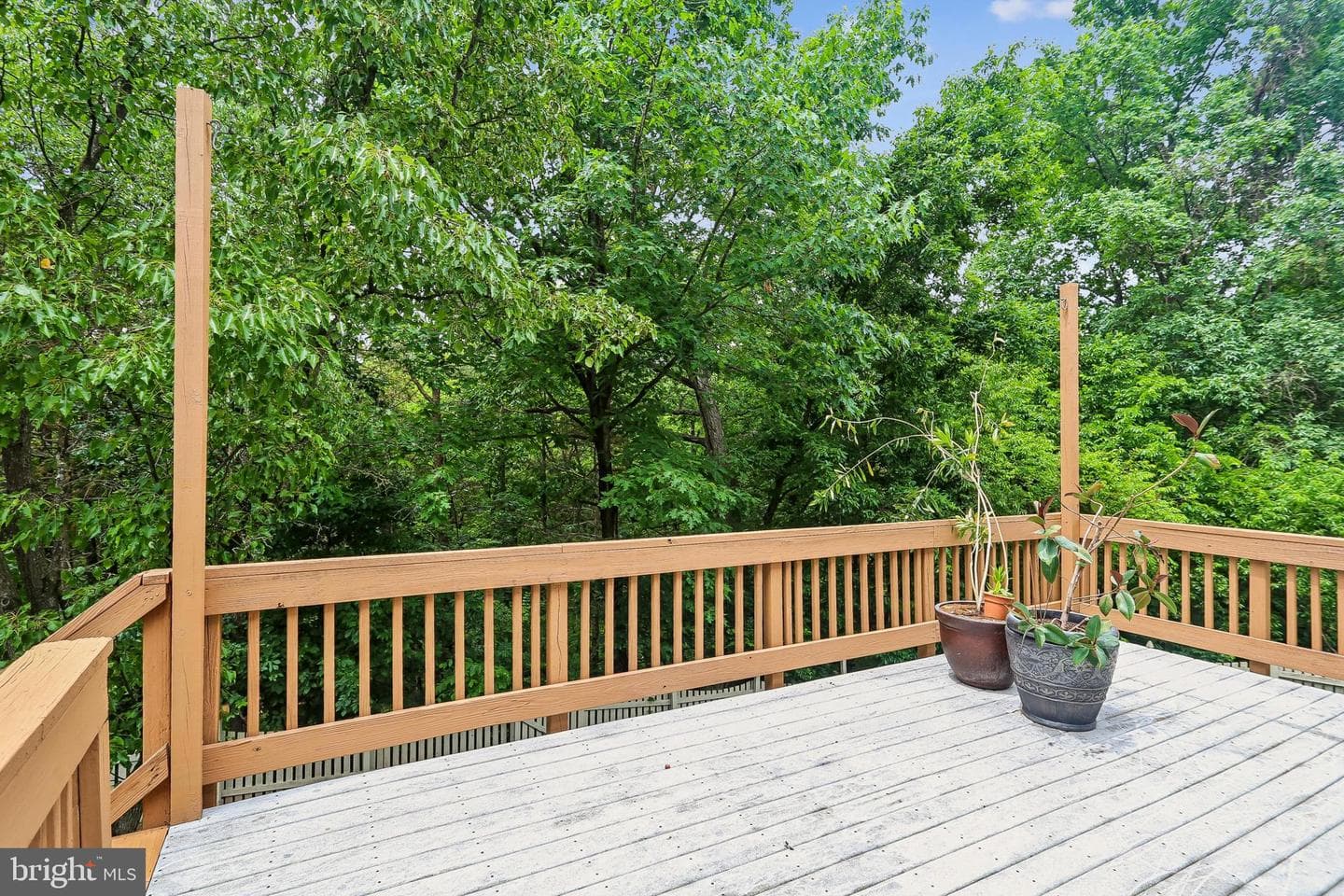 21745 Regents Park Circle photo 8