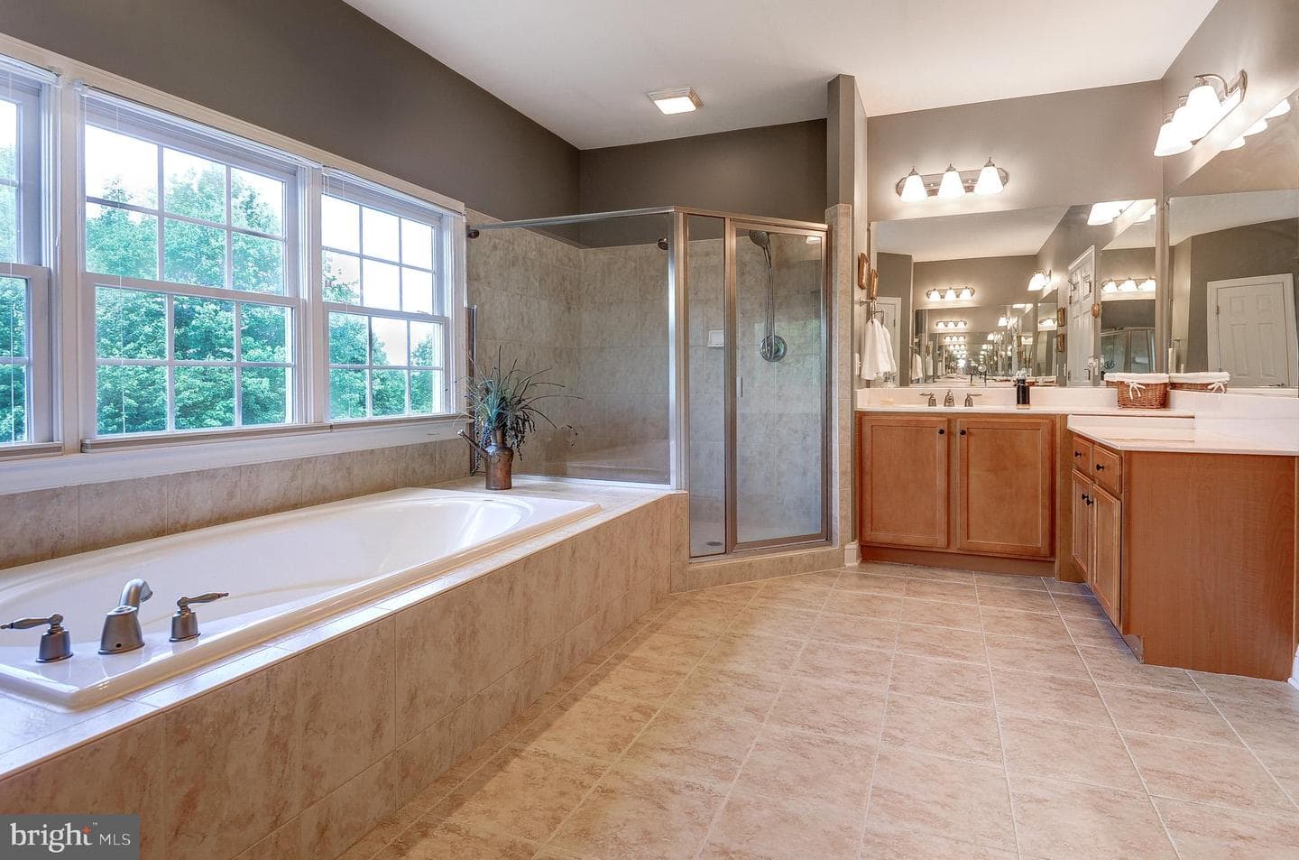 16555 Chestnut Overlook Drive photo 32