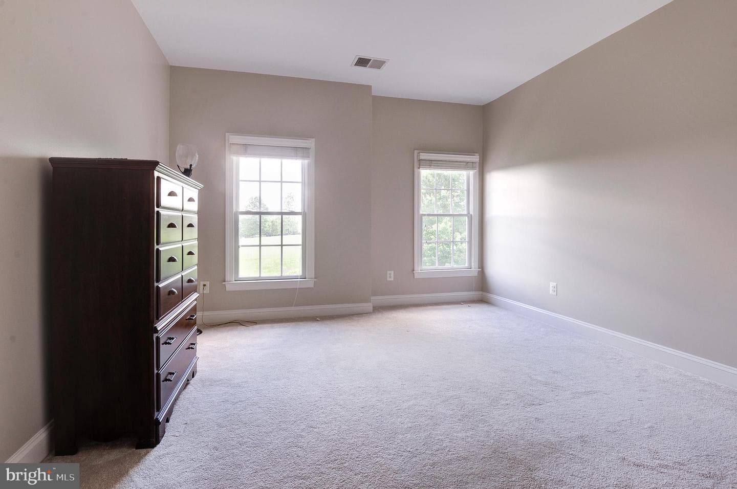 16555 Chestnut Overlook Drive photo 41