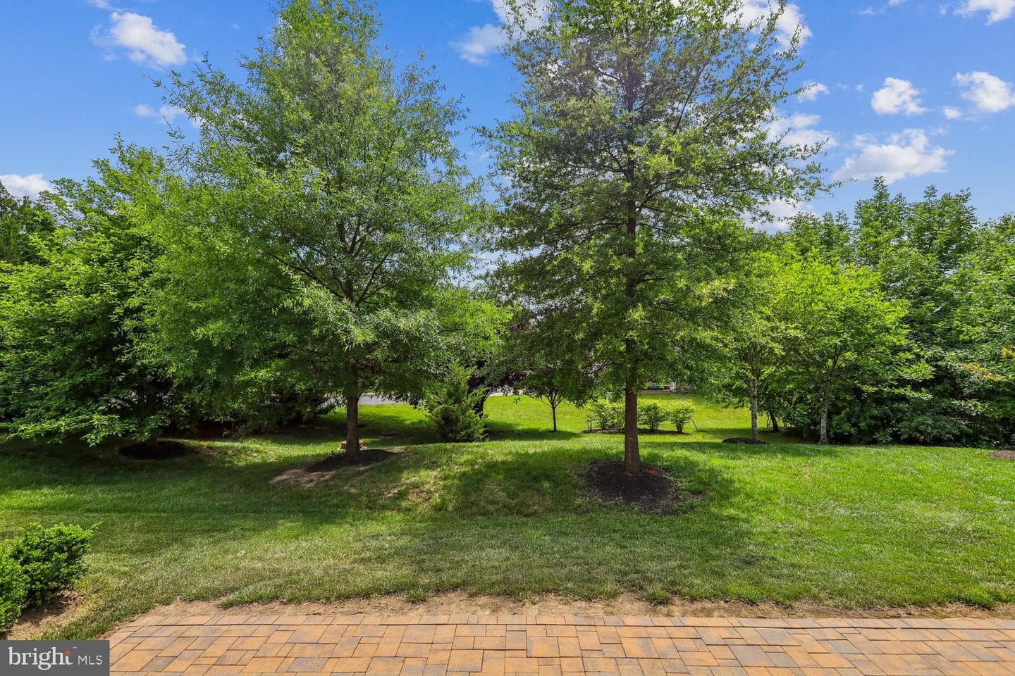41657 Mcmonagle Square photo 41
