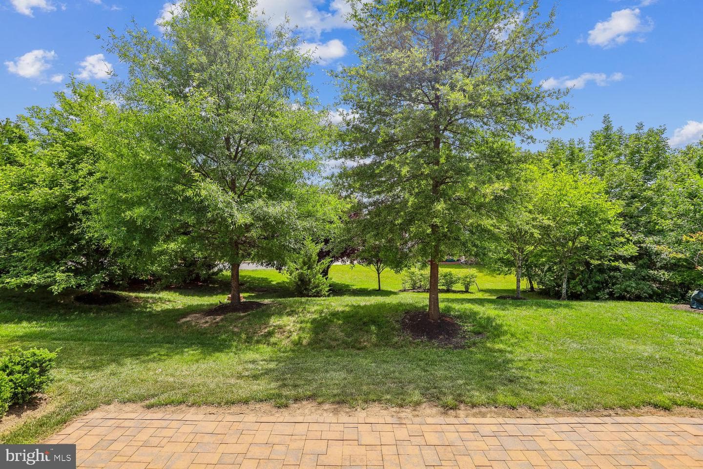 41657 Mcmonagle Square photo 42