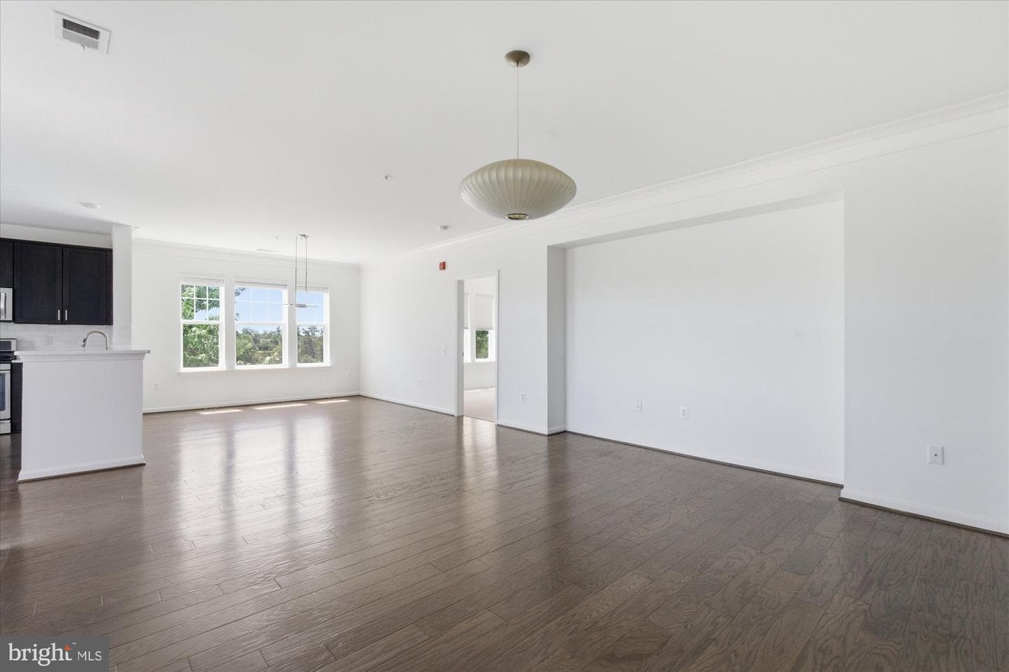 20650 Hope Spring Terrace #301 photo 12