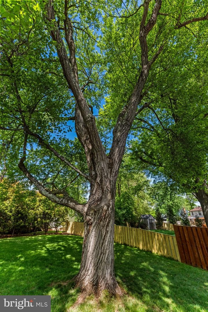 1119 Bradfield Drive SW photo 27