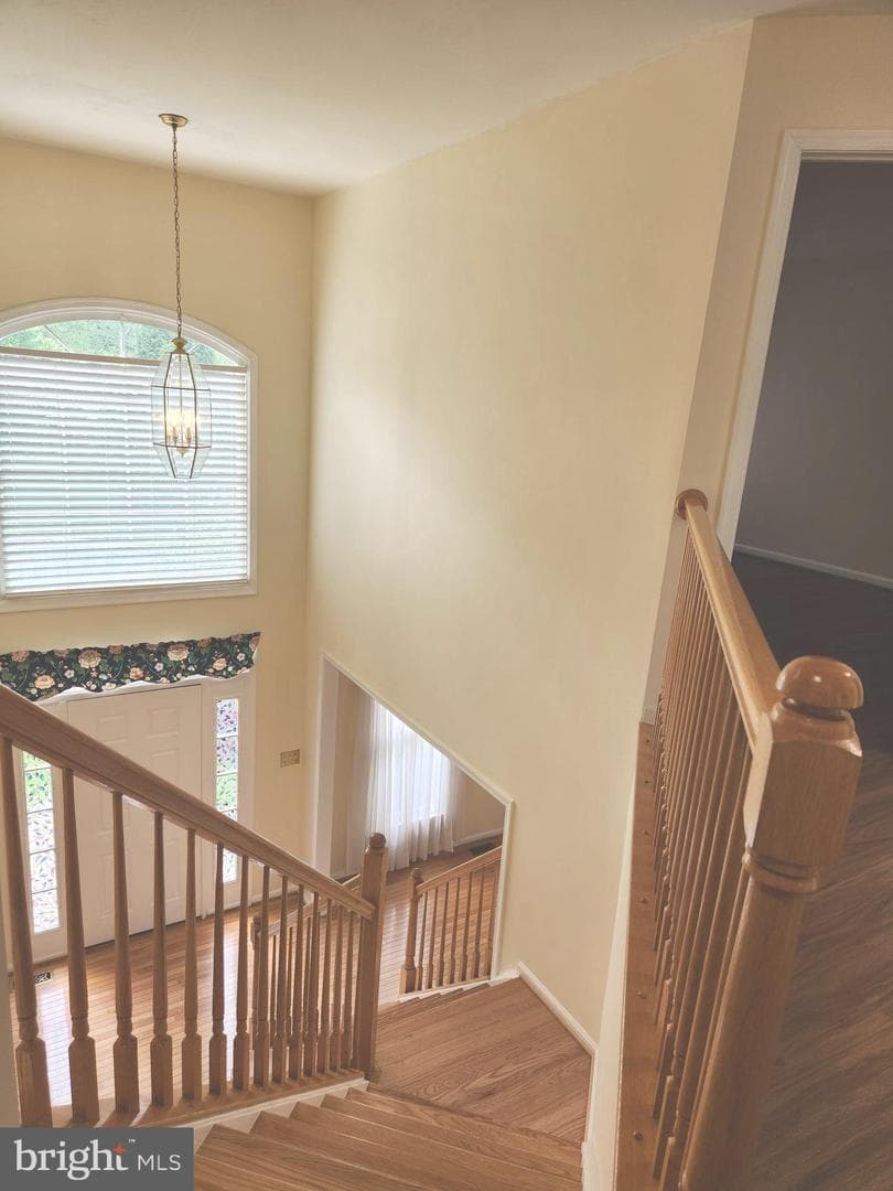 21218 Edgewood Court photo 51