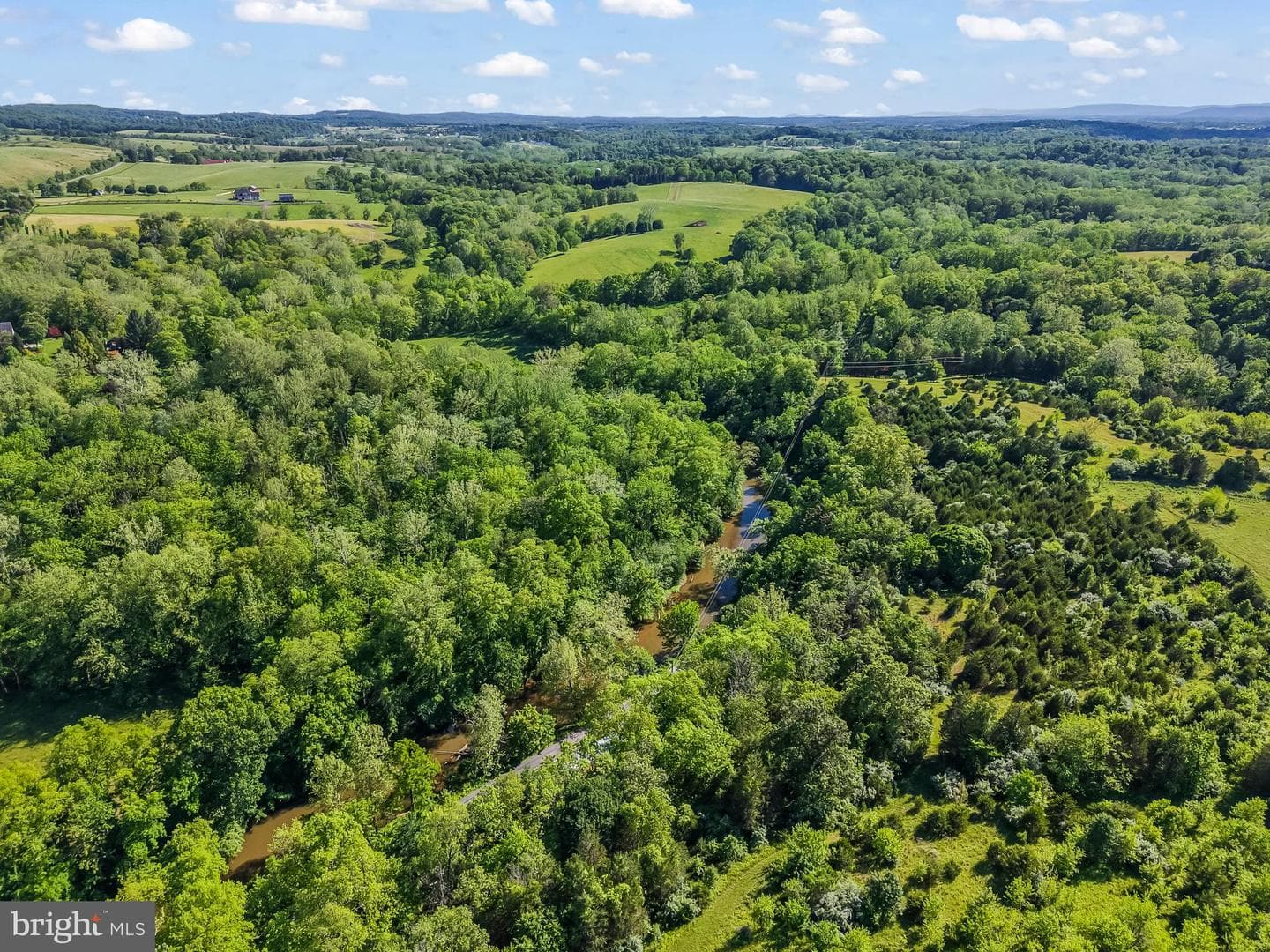 13316 Downey Mill Road photo 36