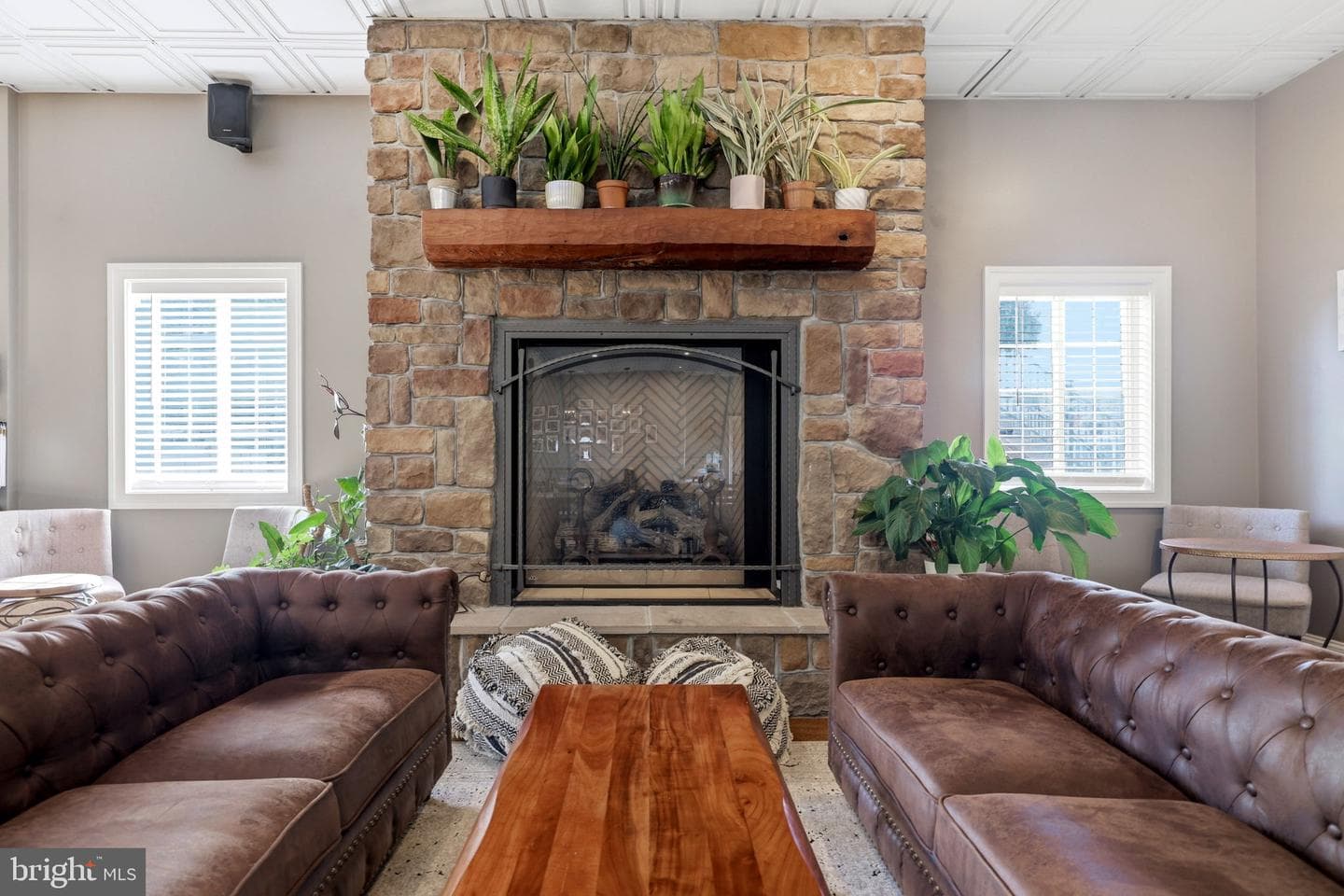 38593 Daymont Lane photo 17