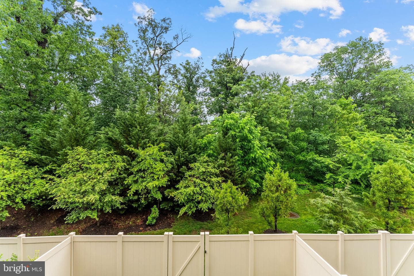 42464 Mildred Landing Square photo 22